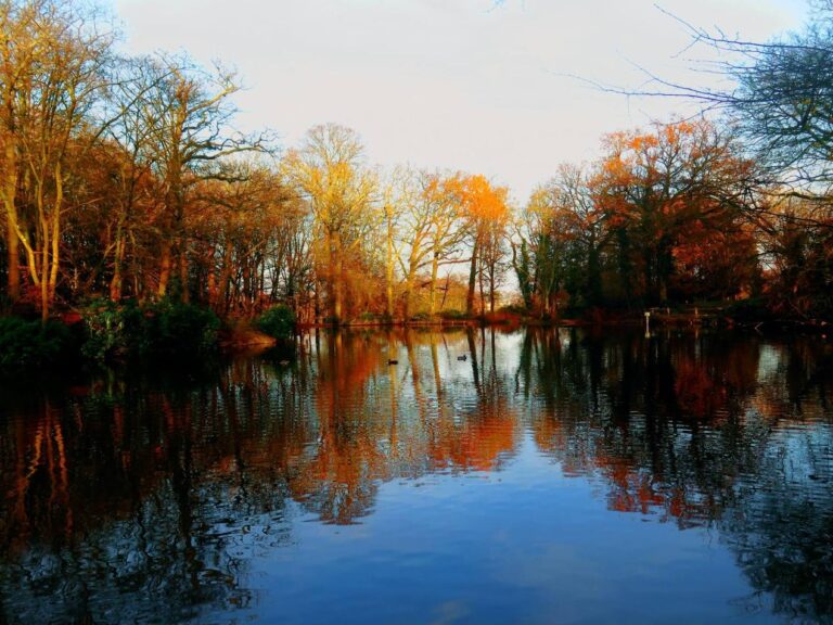 Welcome to Ullswater Cottage Care Home, Near Crawley