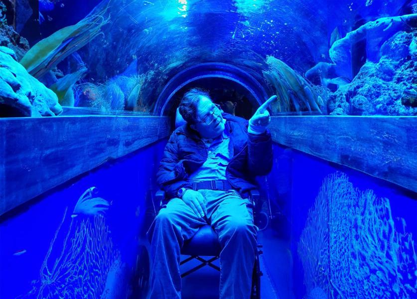 under-the-sea-brighton