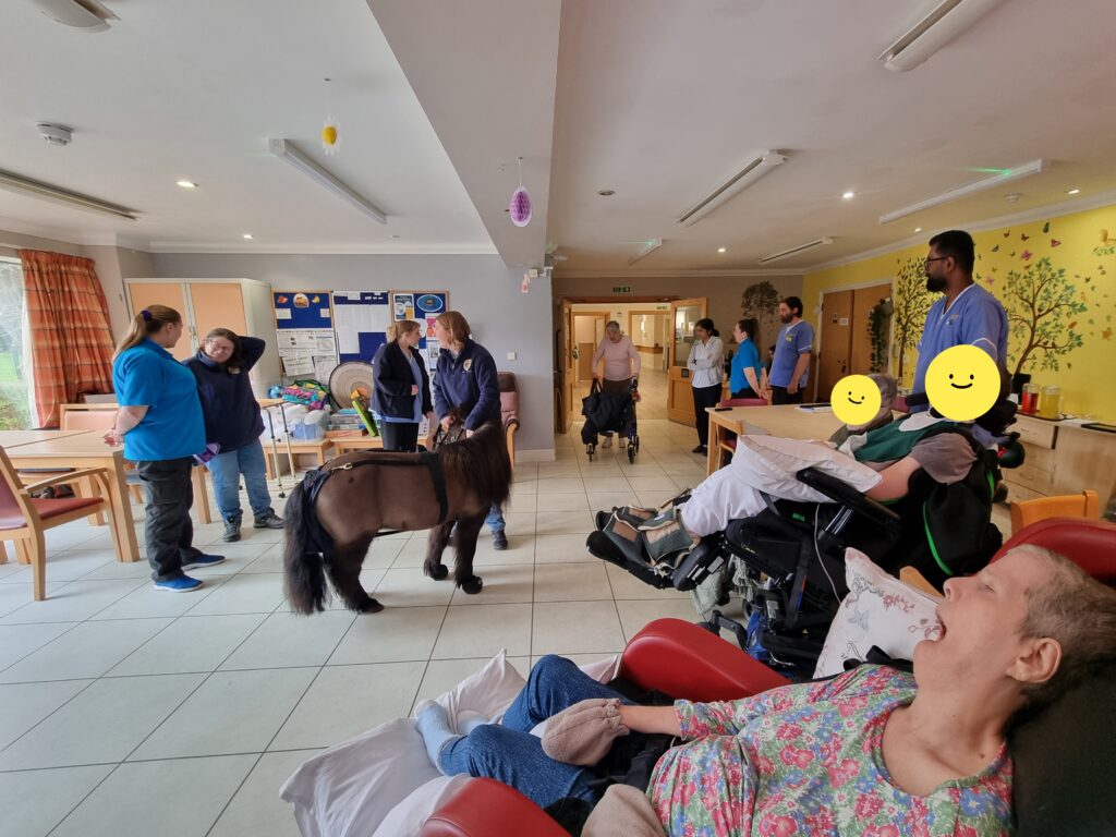 little hoof company visit ullswater