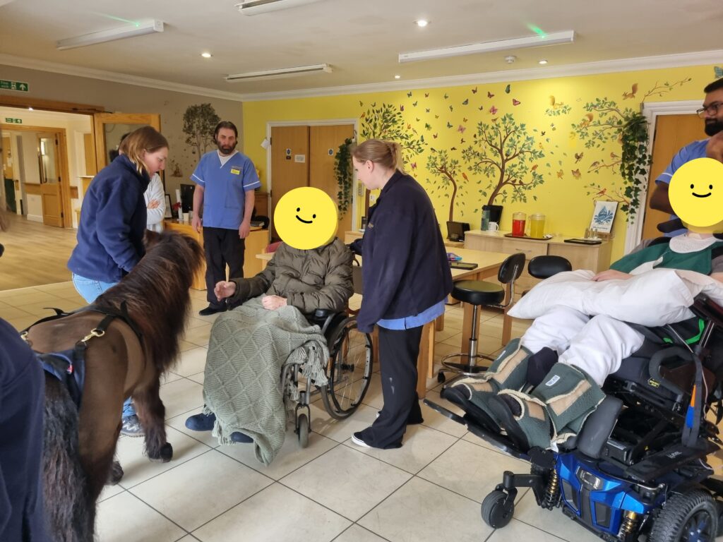 ullswater resident with shetland pony